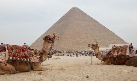 Pyramids Camel Ride